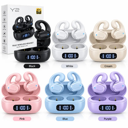 YS earbuds
